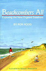 Beachcombers All: Exploring the New England Seashore